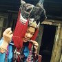 Guangxi Mien 4
